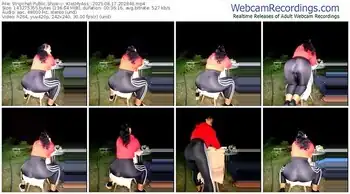 stripchat-_kissmyass_-08-17-2025-20-28-48