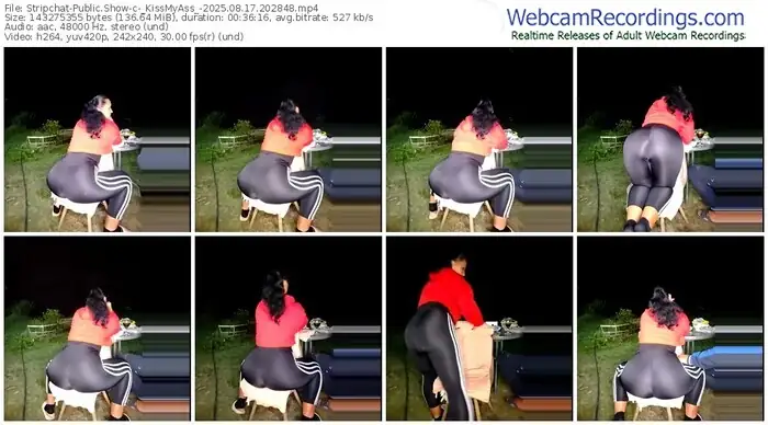 stripchat-_kissmyass_-08-17-2025-20-28-48