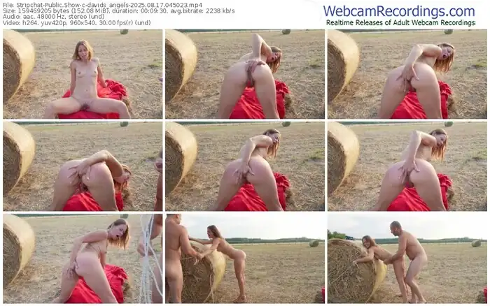 stripchat-davids_angels-08-17-2025-04-50-23
