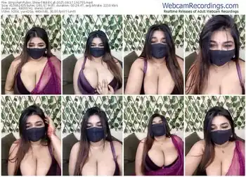 stripchat-bold-cat-08-17-2025-19-17-55