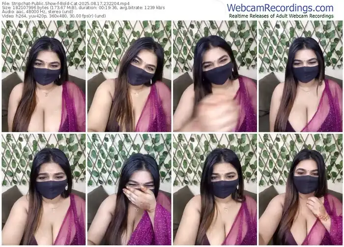 stripchat-bold-cat-08-17-2025-23-22-04