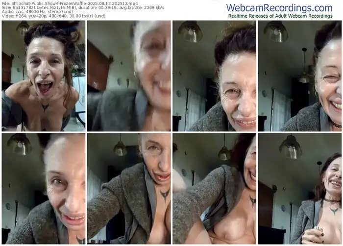 stripchat-frozenwaffle-08-17-2025-20-23-12