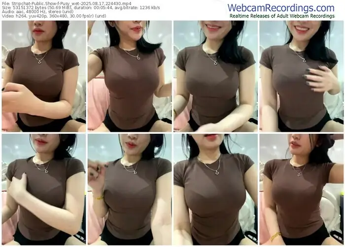 stripchat-pusy_wet-08-17-2025-22-44-30