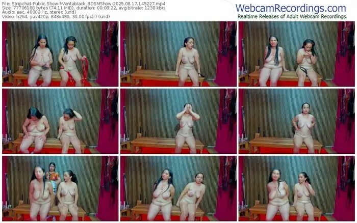 stripchat-vantablack_bdsmshow-08-17-2025-14-52-27