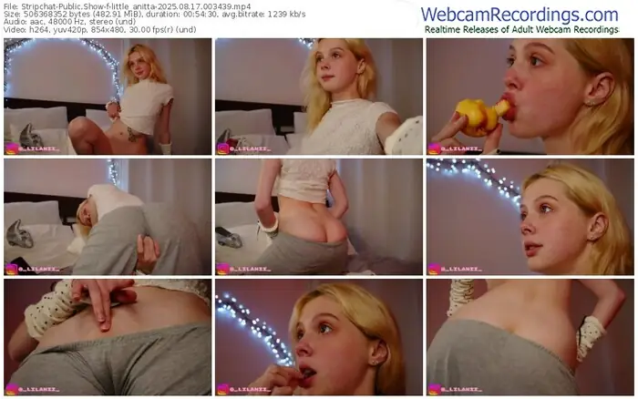 stripchat-little_anitta-08-17-2025-00-34-39