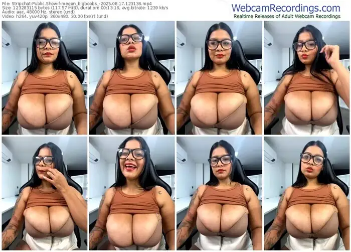 stripchat-megan_bigboobs_-08-17-2025-12-31-36