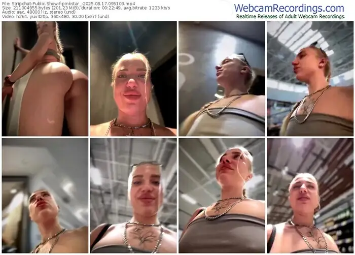 stripchat-pinkstar_-08-17-2025-09-51-03