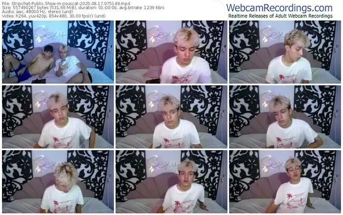 stripchat-jisuscat-08-17-2025-07-51-49