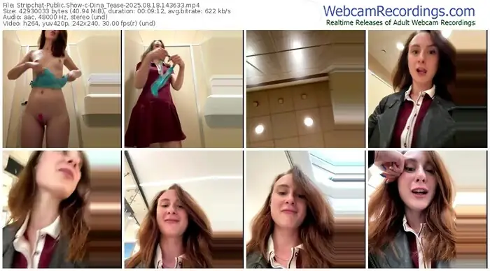 stripchat-dina_tease-08-18-2025-14-36-33