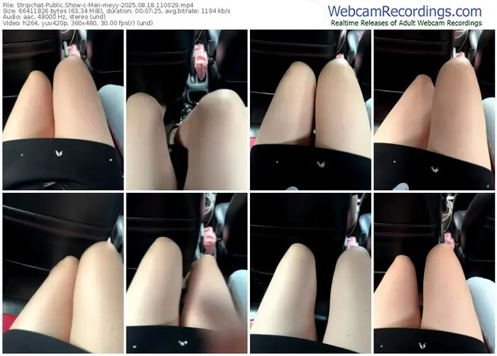 stripchat-meii-meyy-08-18-2025-11-00-29