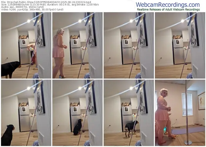 stripchat-droppedeaddaisy-08-18-2025-23-33-19