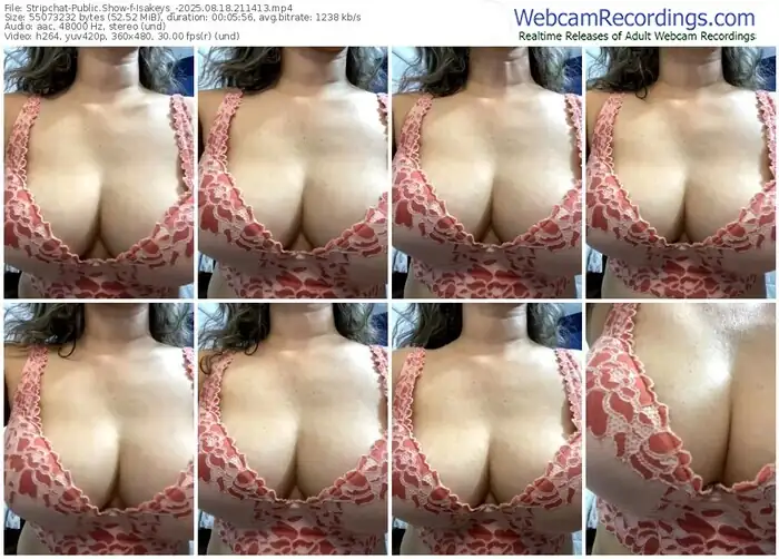 stripchat-isakeys_-08-18-2025-21-14-13
