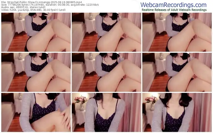 stripchat-linmengg-08-18-2025-08-08-05