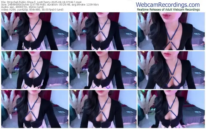 stripchat-_lostcherry-08-18-2025-07-04-17