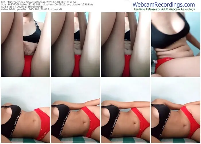 stripchat-dandilaa-08-18-2025-10-51-31