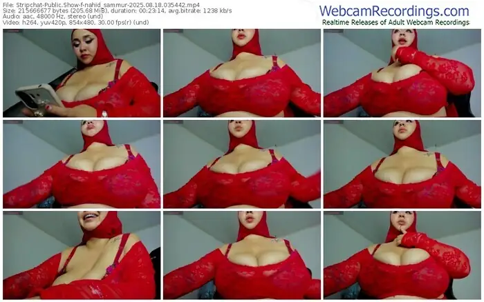 stripchat-nahid_sammur-08-18-2025-03-54-42