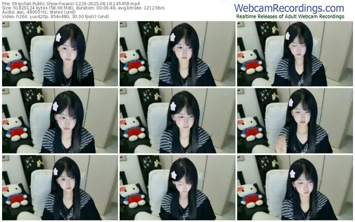 stripchat-wanzi-1229-08-18-2025-14-54-58