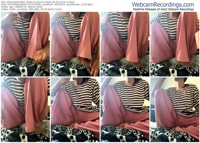 stripchat-yenicitir-08-18-2025-13-11-14