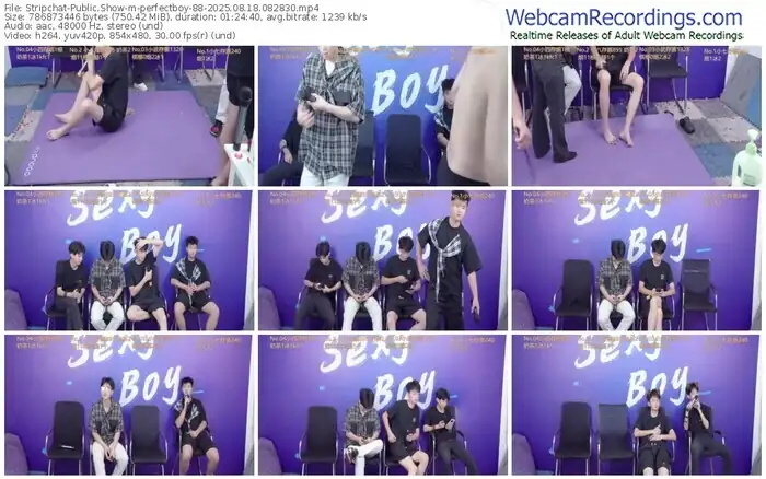 stripchat-perfectboy-88-08-18-2025-08-28-30