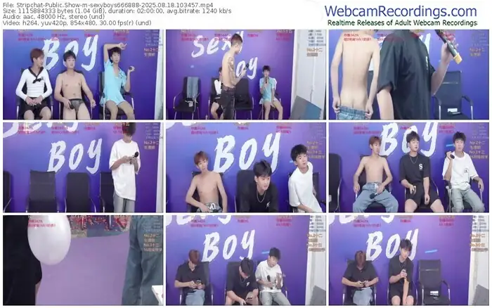 stripchat-sexyboys666888-08-18-2025-10-34-57