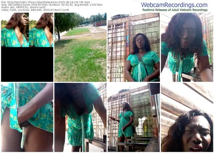 stripchat-blackhotpartyts-08-18-2025-10-17-45