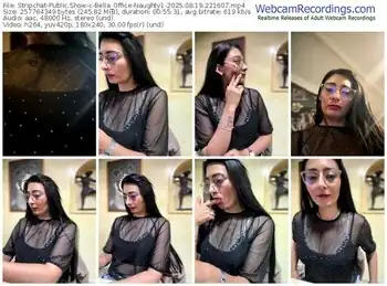 stripchat-bella_office-naughty1-08-19-2025-22-16-07
