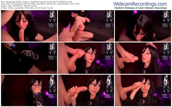stripchat-handsomepure-08-19-2025-05-00-21