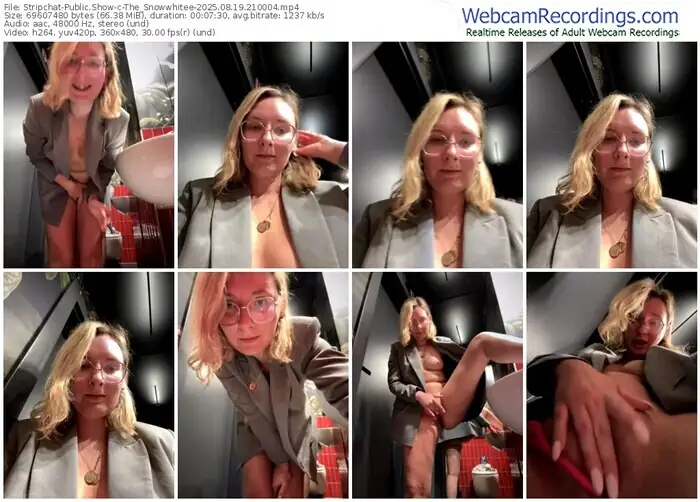stripchat-the_snowwhitee-08-19-2025-21-00-04