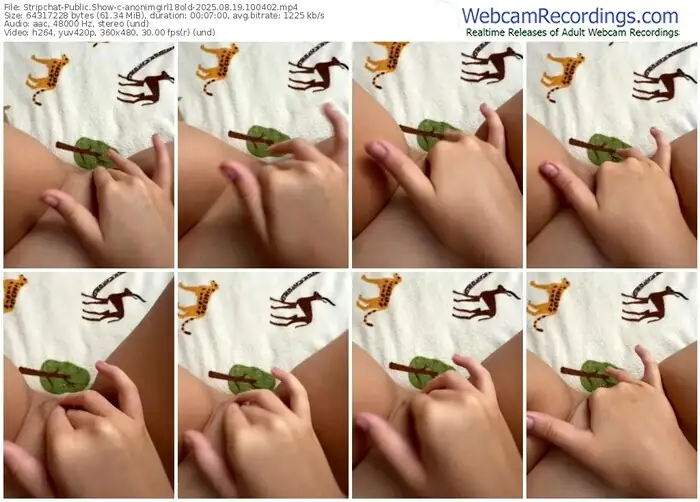 stripchat-anonimgirl18old-08-19-2025-10-04-02