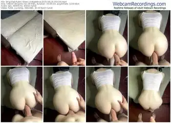 stripchat-ketadeksa-08-19-2025-15-01-34