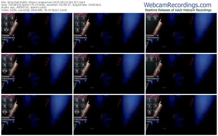 stripchat-wawarruis-08-19-2025-00-12-27