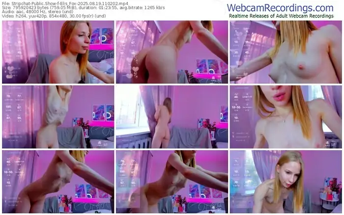 stripchat-elis_fox-08-19-2025-11-02-02