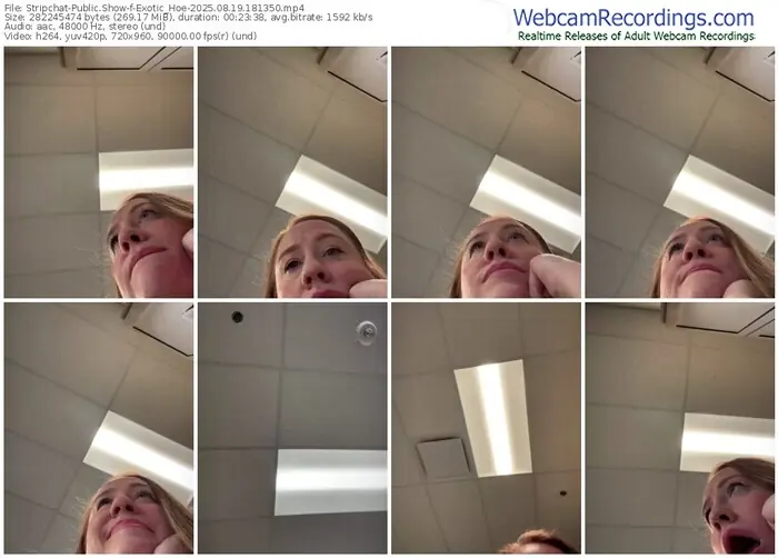 stripchat-exotic_hoe-08-19-2025-18-13-50