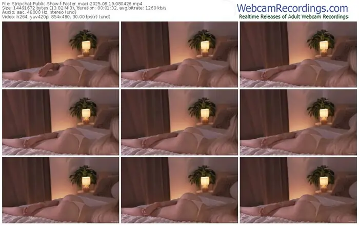 stripchat-faster_maci-08-19-2025-08-04-26