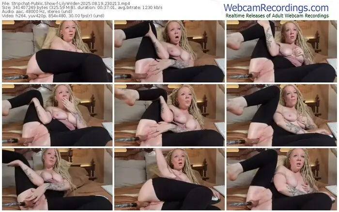 stripchat-lilywilder-08-19-2025-23-02-13