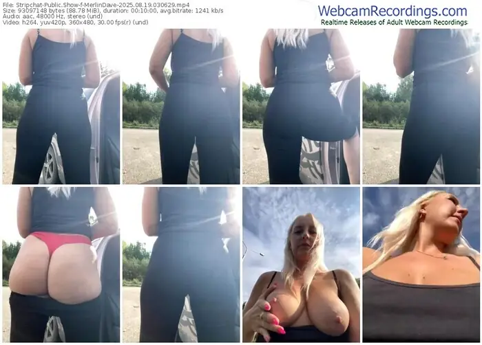 stripchat-merlindave-08-19-2025-03-06-29