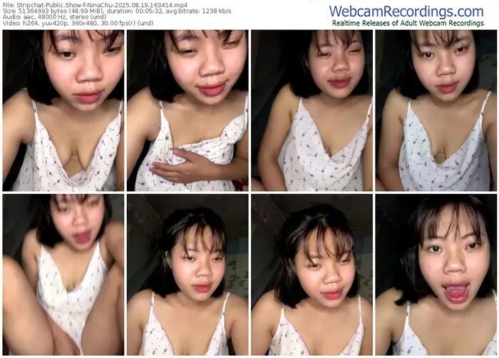 stripchat-ninachu-08-19-2025-16-34-14