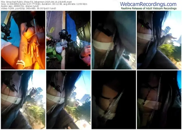 stripchat-k_lebannon-08-19-2025-23-18-45