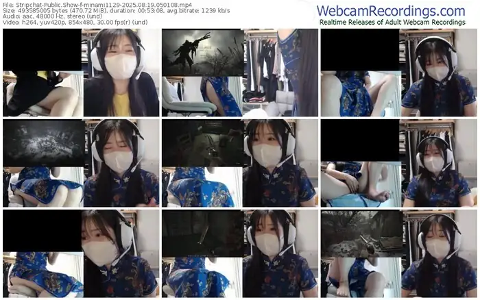 stripchat-minami1129-08-19-2025-05-01-08