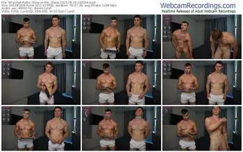 stripchat-nik_sharp-08-19-2025-19-20-54