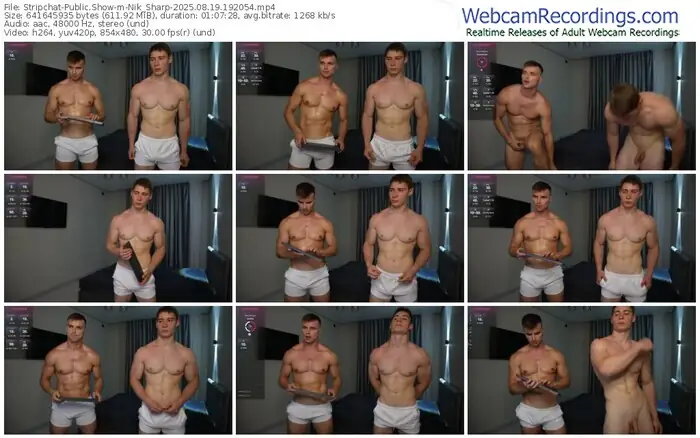 stripchat-nik_sharp-08-19-2025-19-20-54