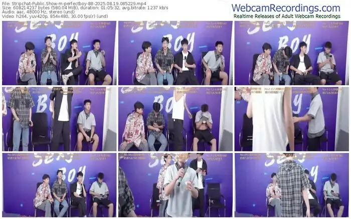 stripchat-perfectboy-88-08-19-2025-08-52-29