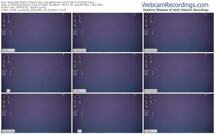 stripchat-your_naughtytrans-08-19-2025-04-25-56