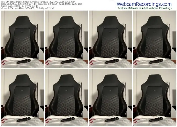 stripchat-amaliamarkova_-08-20-2025-15-13-58