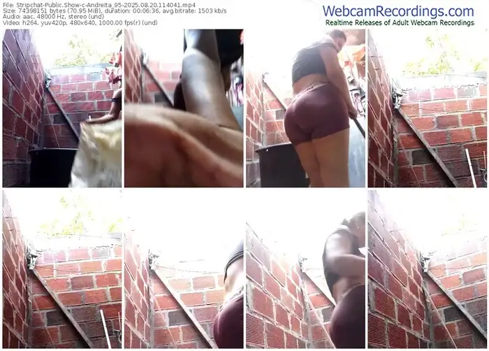 stripchat-andreita_95-08-20-2025-11-40-41