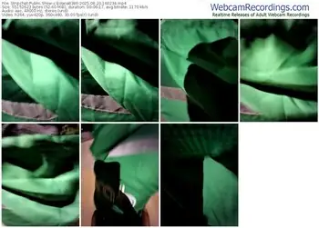 stripchat-edana8386-08-20-2025-16-02-34