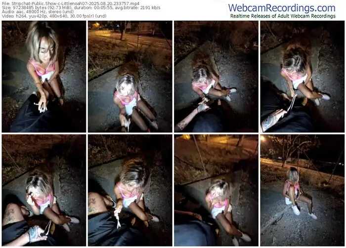 stripchat-littlenoah07-08-20-2025-23-37-57