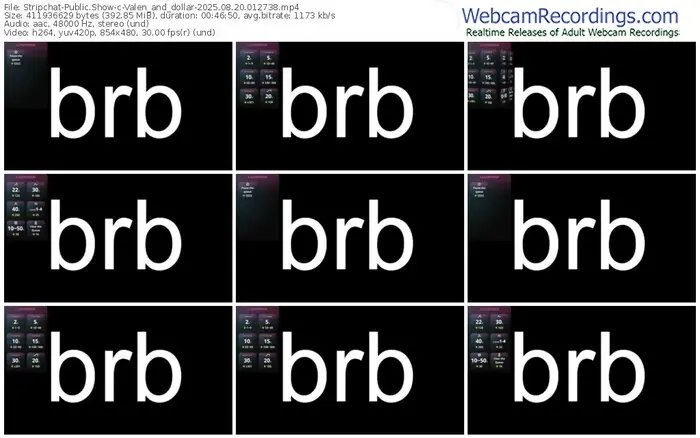 stripchat-valen_and_dollar-08-20-2025-01-27-38