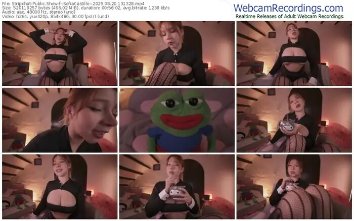 stripchat--sofiacastillo--08-20-2025-13-13-28