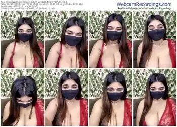 stripchat-bold-cat-08-20-2025-22-15-33